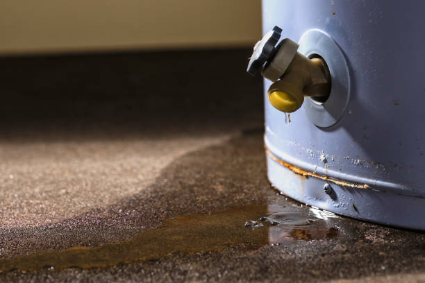 Best Water damage contractors near me  in Mayfield, OH