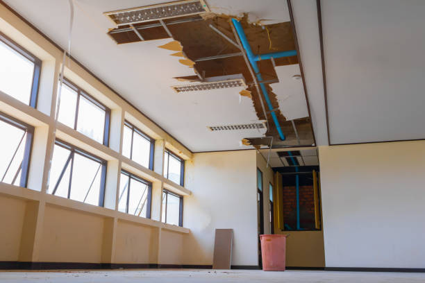 Best Water damage restoration process  in Mayfield, OH