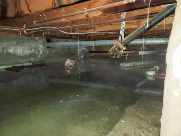 Professional Water damage restoration in Mayfield, OH