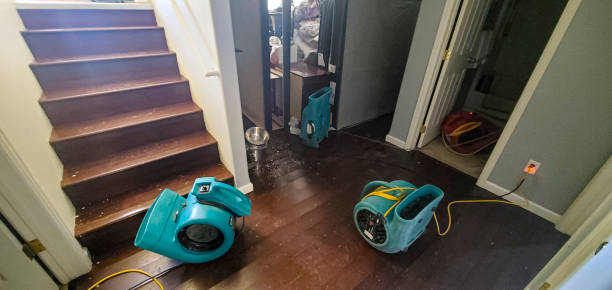 Best Water damage restoration near me  in Mayfield, OH