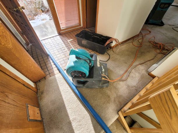 Best Water damage contractors near me  in Mayfield, OH