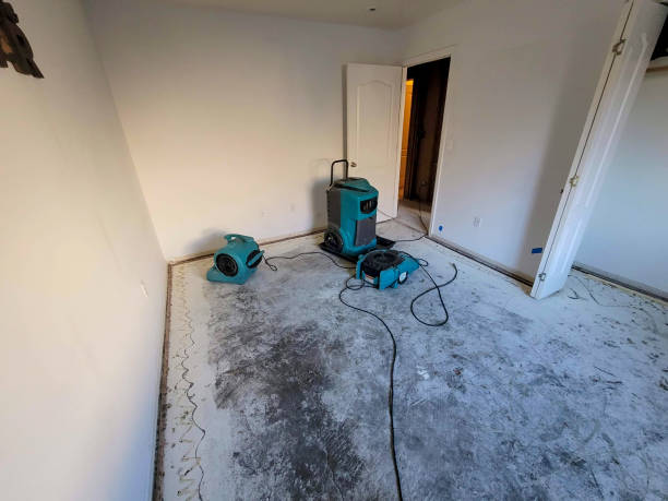 Best Sewage cleanup and water damage restoration  in Mayfield, OH