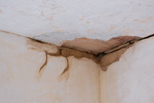 Best Water damage restoration near me  in Mayfield, OH