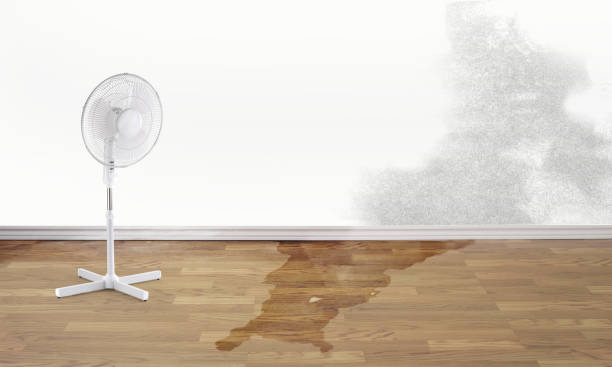 Best Water damage restoration near me  in Mayfield, OH
