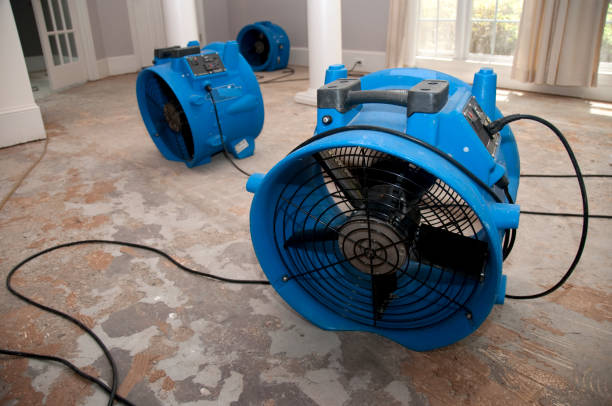 Best Local water damage restoration  in Mayfield, OH