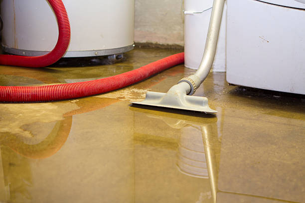Best Water damage restoration cost  in Mayfield, OH