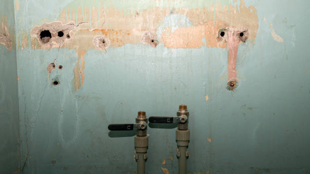 Best Basement water damage restoration  in Mayfield, OH