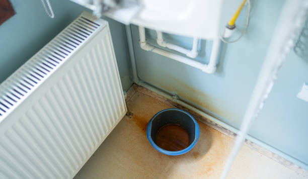 Best Flood damage cleanup  in Mayfield, OH